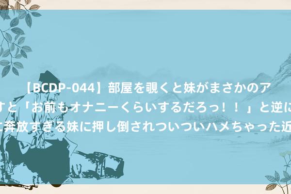 【BCDP-044】部屋を覗くと妹がまさかのアナルオナニー。問いただすと「お前もオナニーくらいするだろっ！！」と逆に襲われたボク…。性に奔放すぎる妹に押し倒されついついハメちゃった近親性交12編 进款杰出30万的家庭有若干？谜底你可能想不到，看你达标莫得？