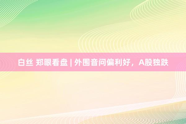 白丝 郑眼看盘 | 外围音问偏利好，A股独跌