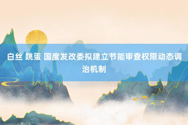 白丝 跳蛋 国度发改委拟建立节能审查权限动态调治机制
