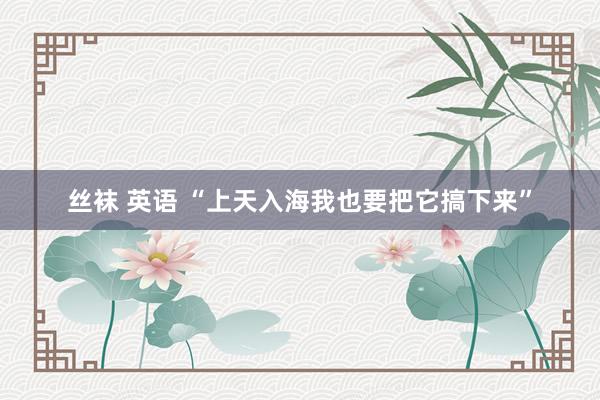 丝袜 英语 “上天入海我也要把它搞下来”