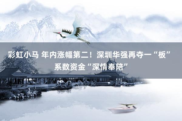 彩虹小马 年内涨幅第二！深圳华强再夺一“板” 系数资金“深情奉陪”