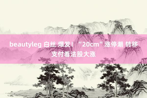 beautyleg 白丝 爆发！“20cm”涨停潮 转移支付看法股大涨