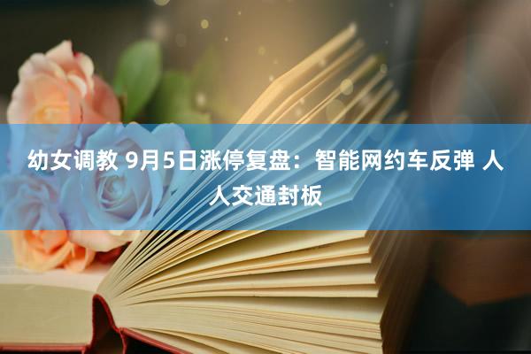 幼女调教 9月5日涨停复盘：智能网约车反弹 人人交通封板