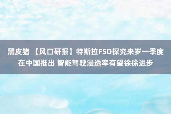黑皮猪 【风口研报】特斯拉FSD探究来岁一季度在中国推出 智能驾驶浸透率有望徐徐进步