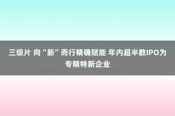 三级片 向“新”而行精确赋能 年内超半数IPO为专精特新企业