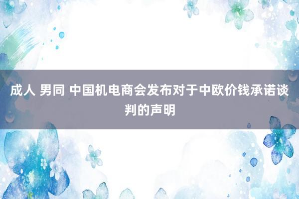成人 男同 中国机电商会发布对于中欧价钱承诺谈判的声明