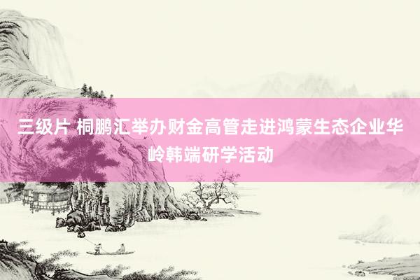 三级片 桐鹏汇举办财金高管走进鸿蒙生态企业华岭韩端研学活动