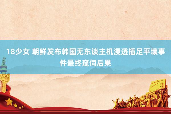 18少女 朝鲜发布韩国无东谈主机浸透插足平壤事件最终窥伺后果