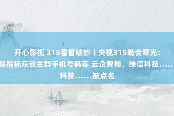 开心影视 315看管破钞｜央视315晚会曝光：精确赢得指标东谈主群手机号码等 云企智能、绿信科技……被点名