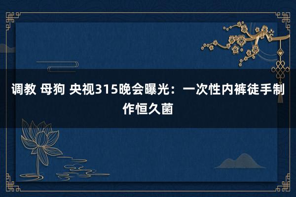 调教 母狗 央视315晚会曝光：一次性内裤徒手制作恒久菌