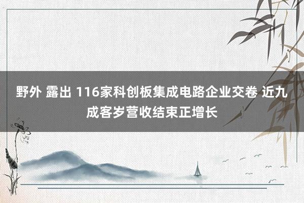 野外 露出 116家科创板集成电路企业交卷 近九成客岁营收结束正增长