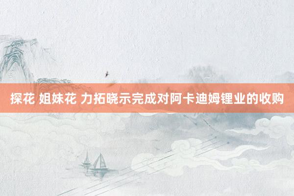 探花 姐妹花 力拓晓示完成对阿卡迪姆锂业的收购