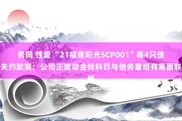 男同 性愛 “21福建阳光SCP001”等4只债券失约默契：公司正激动金钱科罚与债务重组有筹画联想