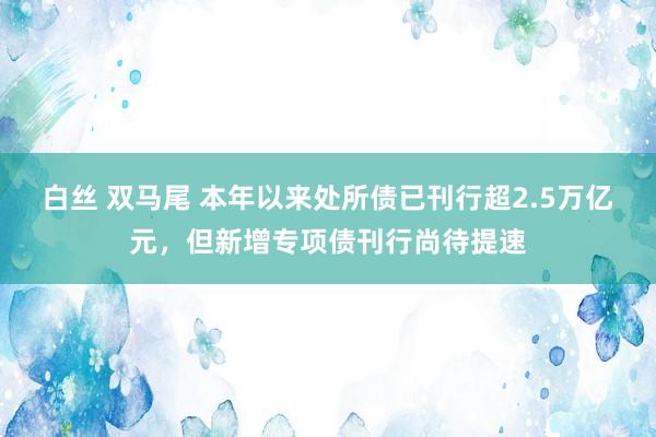 白丝 双马尾 本年以来处所债已刊行超2.5万亿元，但新增专项债刊行尚待提速